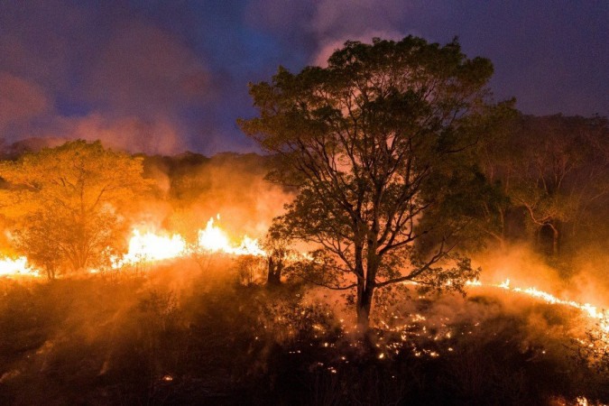 MS decreta situação de emergência em cidades atingidas pelos incêndios no Pantanal